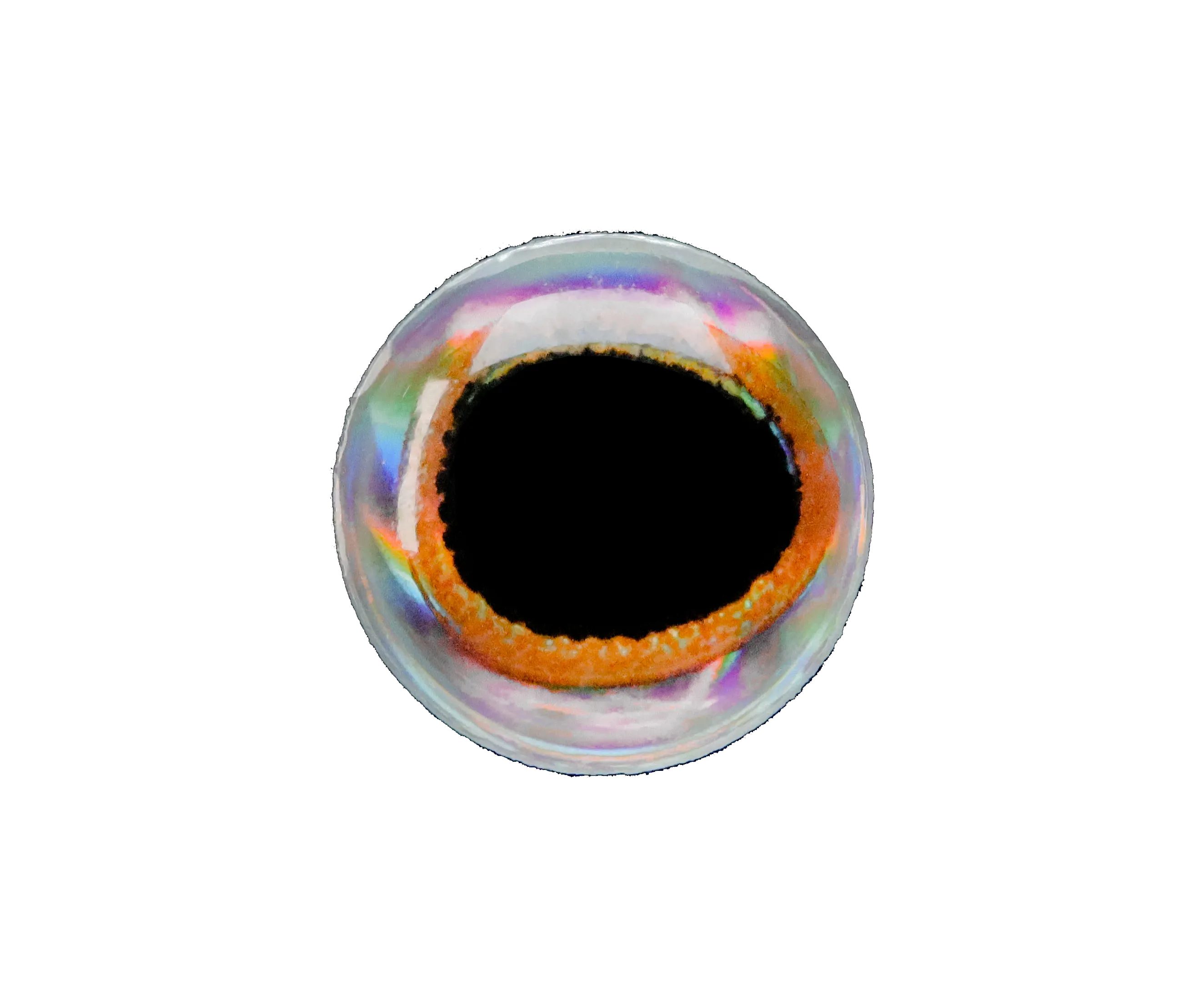 Lunker City 3D Fish Eyes Bulk